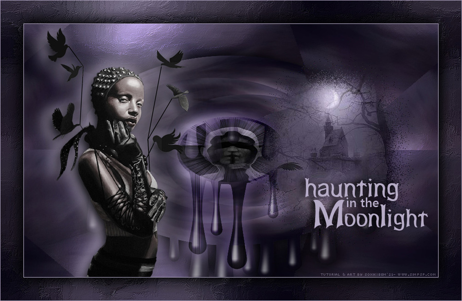 Haunting In The Moonlight 