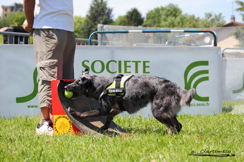 Tournoi de flyball de Sainte Euphémie - 2 juin 2012