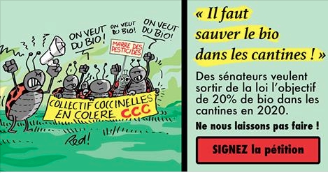L'association Agir pour l'Environnement invite les citoyens Français à interpeller leurs sénateurs pour qu'ils rétablissent le seuil de 20 % de bio dans la restauration collective publique supprimé en commission.