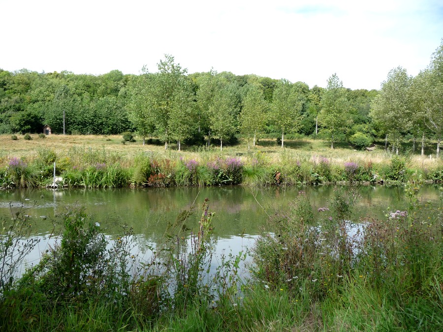 La nature en ville, au mois d'août.