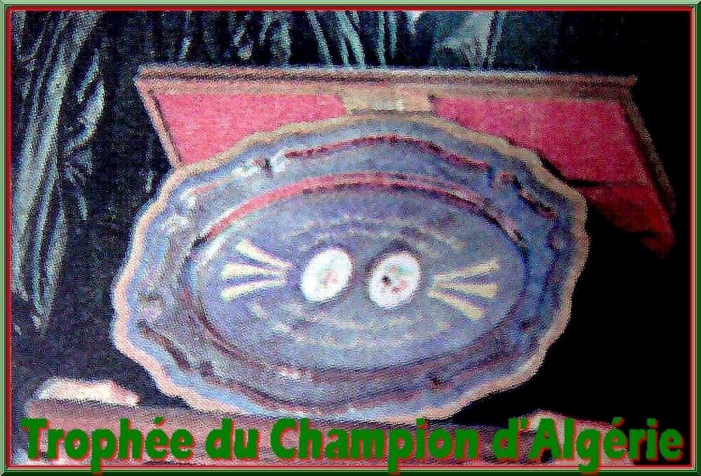 Le trophée du Champion d'Algérie