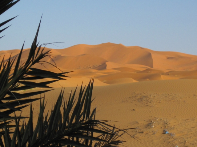 057 Aux Dunes d\'Or 8