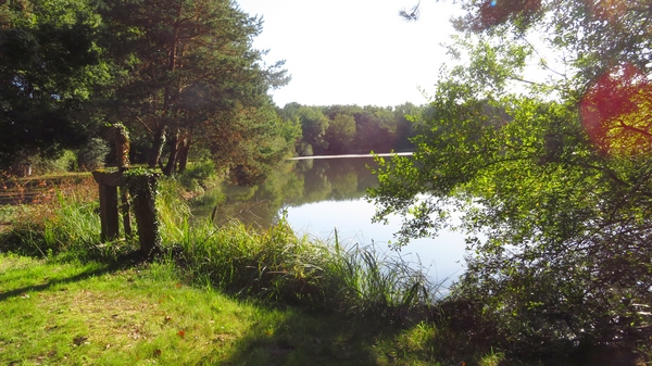 Un séjour en Sologne avec la Société Mycologique du Châtillonnais....