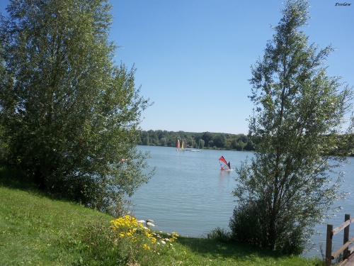 Un bel après-midi au Lac du Héron à Villeneuve d'Ascq