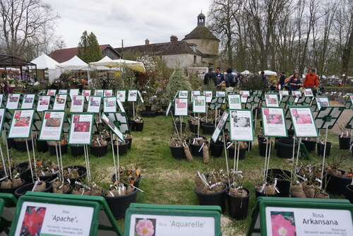 St J. de Beauregard, jours de folie