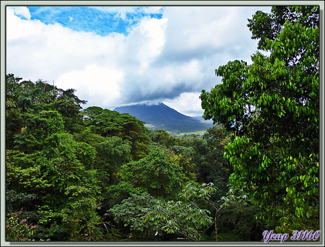 Blog de images-du-pays-des-ours : Images du Pays des Ours (et d'ailleurs ...), Le Volcan Arena vu d'un pont de singe - Costa Rica