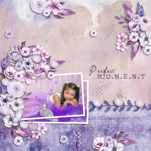 CT d'Ilonka's Scrapbook Designs