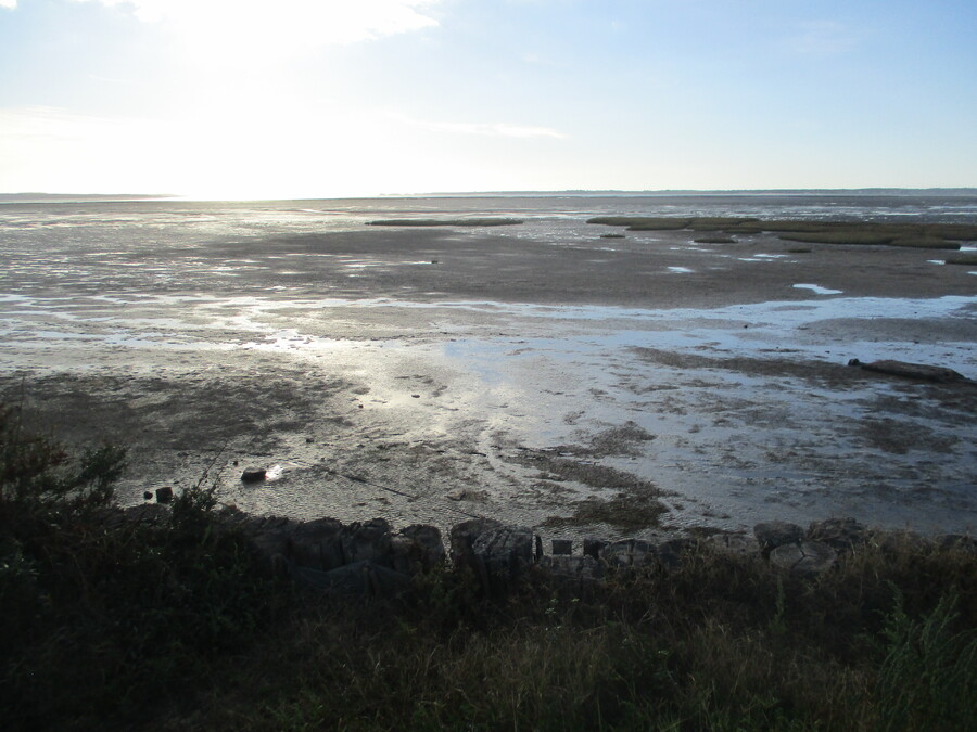 LA  PLAGE  DE  MARENNES  (CHARENTES MARITIMES)    Septembre-Octobre 2022