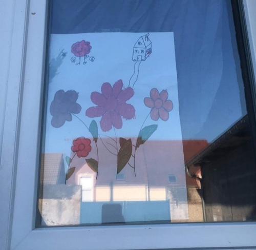 Les premières fleurs à nos fenêtres !