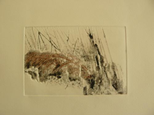 "Les épaves" 2010