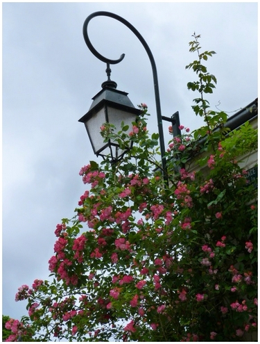 Chédigny .. une suite fleurie et parfumée 