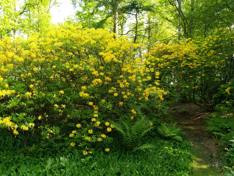 Foire aux plantes de Beervelde