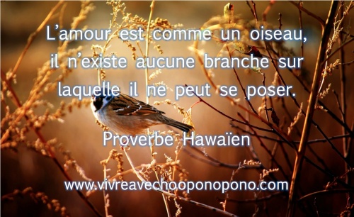 belle phrase d'amour yeux