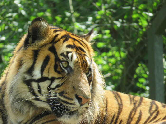 Zoo de la Boissière Du Doré (9).