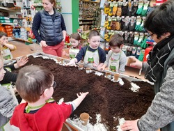 classe maternelle : visite à la jardinerie