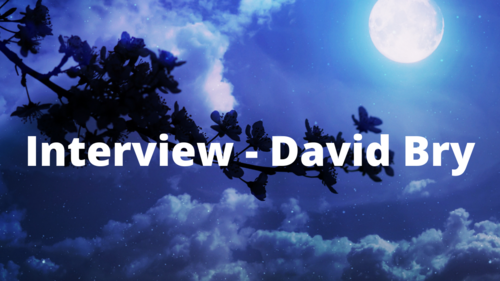 #PLIB2021 : David Bry répond à mes questions