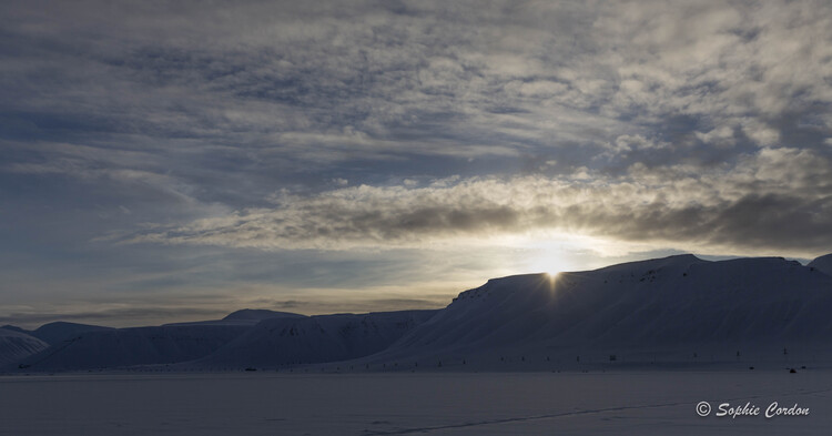 Un dimanche comme un autre dans l'arctique