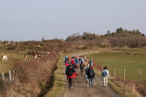 03.02.2020.le Puy Gourdon.Chaynat.Rando 11 kms