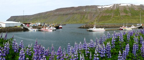 19 juin, de Þingeyri à Isafjörður