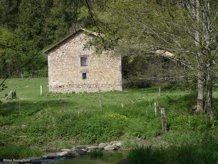 Au fil de l'Issoire à Esse,Charente,