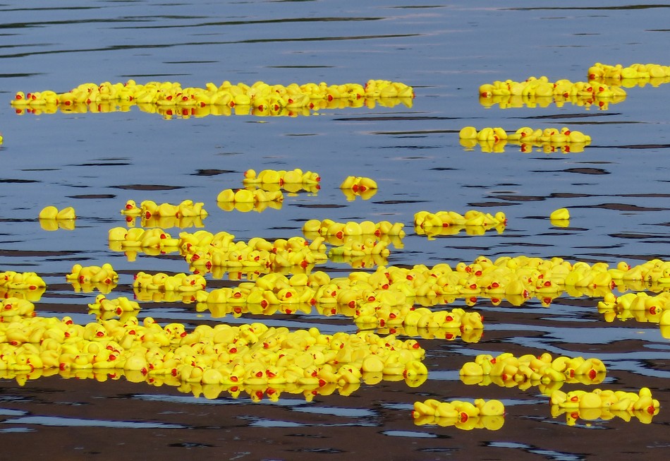 Fête Médiévale, DuckRace