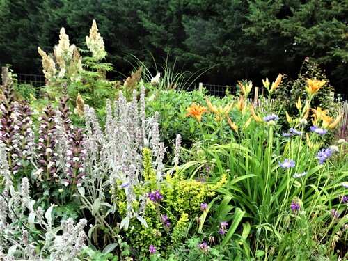 Des airs de fin d'été au jardin!