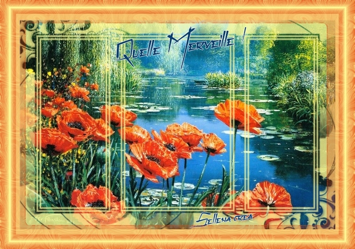 **Aquarelle Coquelicots**