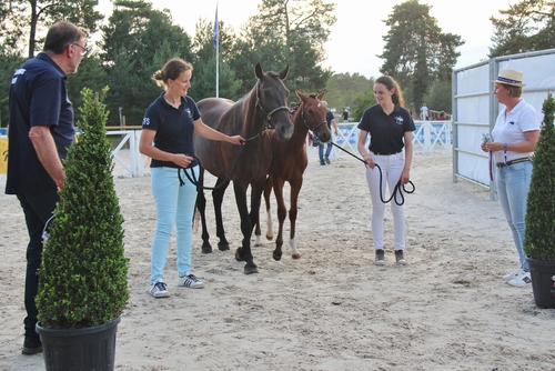 Team LMs, Laurène, équitation, SHF, Sologn' Pony, Ja Kette des Réneries, Neti Kette D Réneries, élevage des Réneries, jeunes poneys