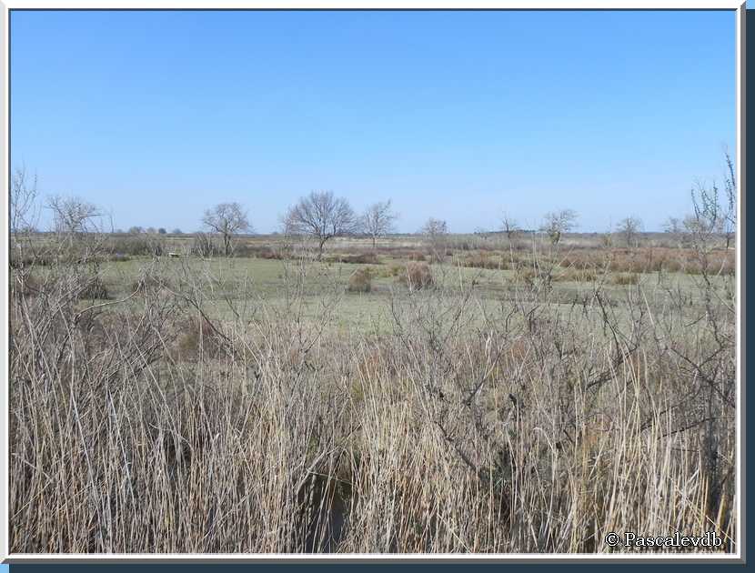 Les plaines du Teich et le domaine de Fleury - 1/8