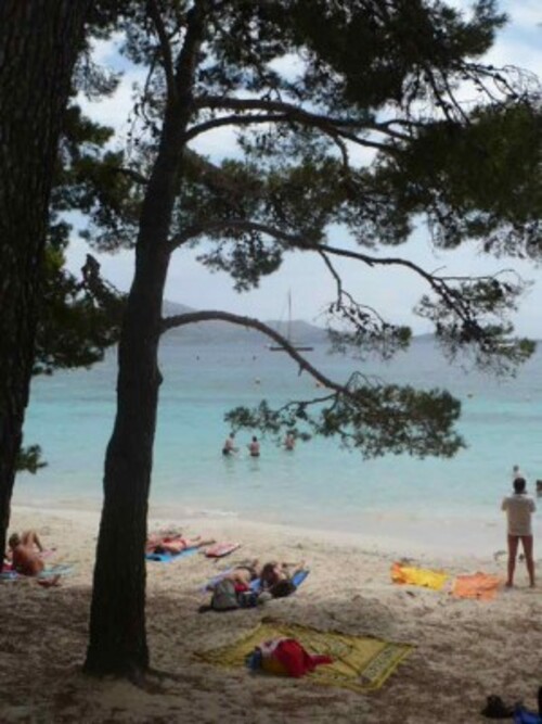 ¨Playa Formentor - nord de l'île ¨