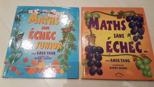 Deux livres d'énigmes mathématiques pour développer les premières stratégies de calculs