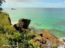 Tobago-Mouillage Bucco Bay