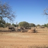 Burkina Bomborokuy Dans le village