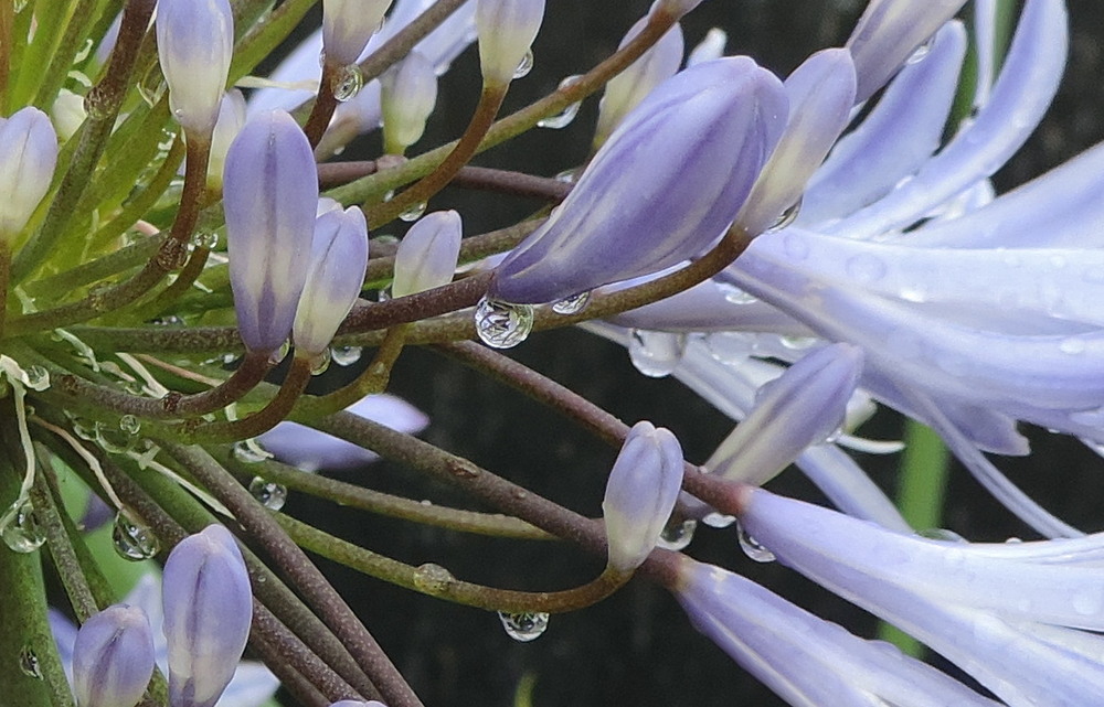 des gouttes d'eau magiques !