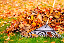 Les feuilles mortes se ramassent à la pelle ...