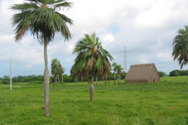 Vinales : la pointe verte