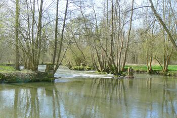 Les coteaux de Fourges