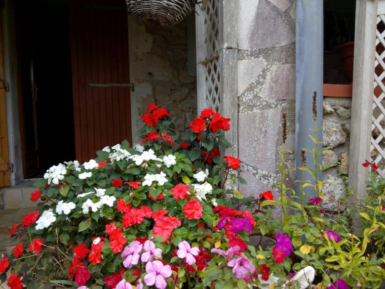 Jeudi dernier dans mon jardin