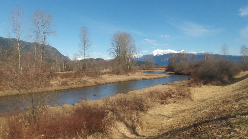 March Break in Vancouver: Fourth Day: Pitt River Pedestrian and Microbrewery Magic