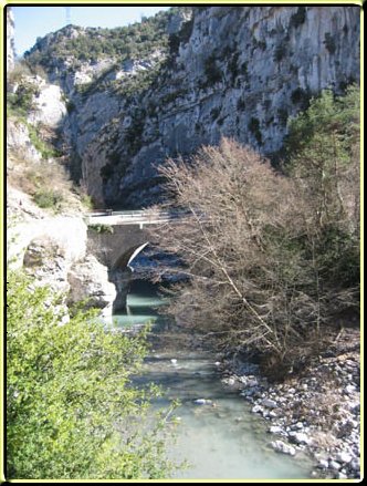 L'année 2006