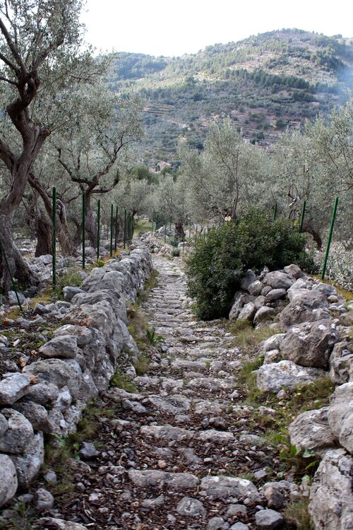 Biniaraix - petit village au dessus de Soller