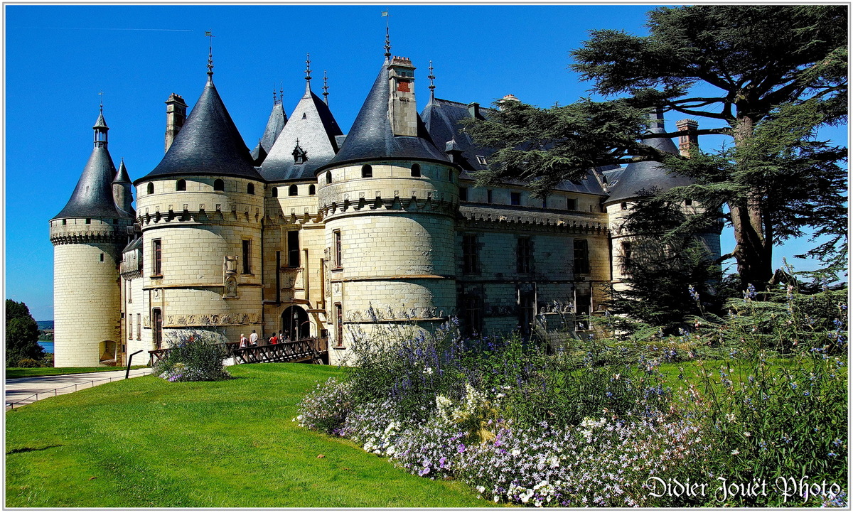 41 . Loir et Cher - Chaumont sur Loire (1) - Château de Chaumont
