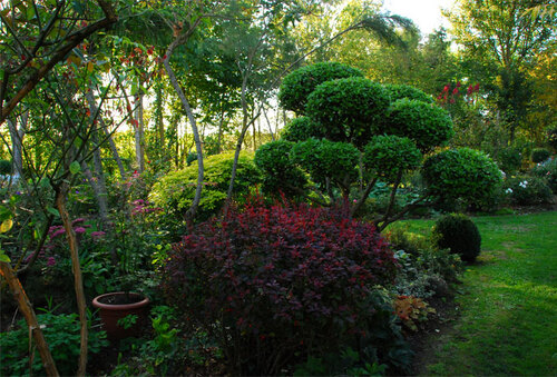 Magical Garden chez Duo pour un jardin.