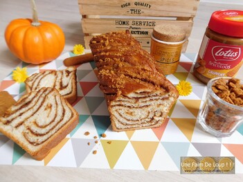 Babka cannelle & pâte de speculoos