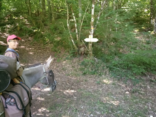 Les grandes oreilles en Corrèze, jour 5, 6 et 7