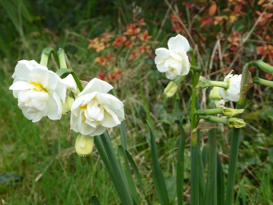 Retour parmi nos fleurs!