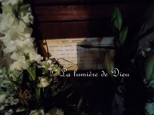 Cathédrale Saint Léonce de Fréjus