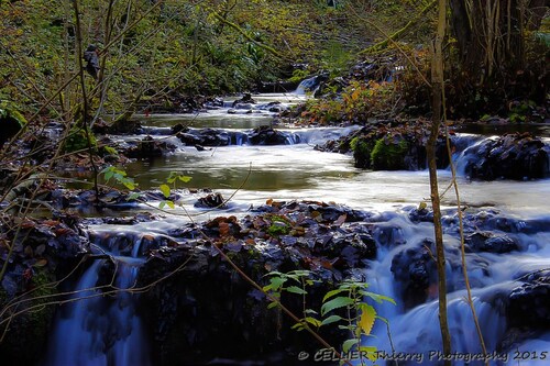 Les rivières et ruisseaux proches de chez moi : le colliard - novembre 2015