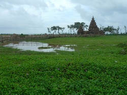 Mahabalipuram (Inde) © j-c leroy, 2010.