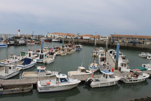 LE PORT DE LA COTINIÈRE - OLÉRON 